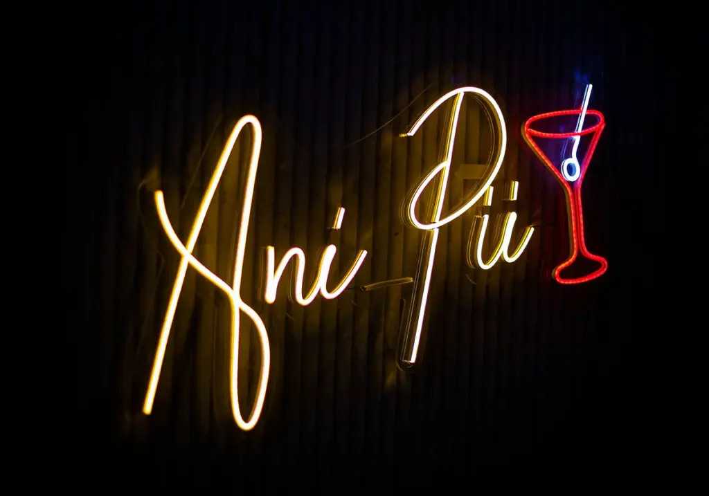 Ani_Pii Bar Service Goa