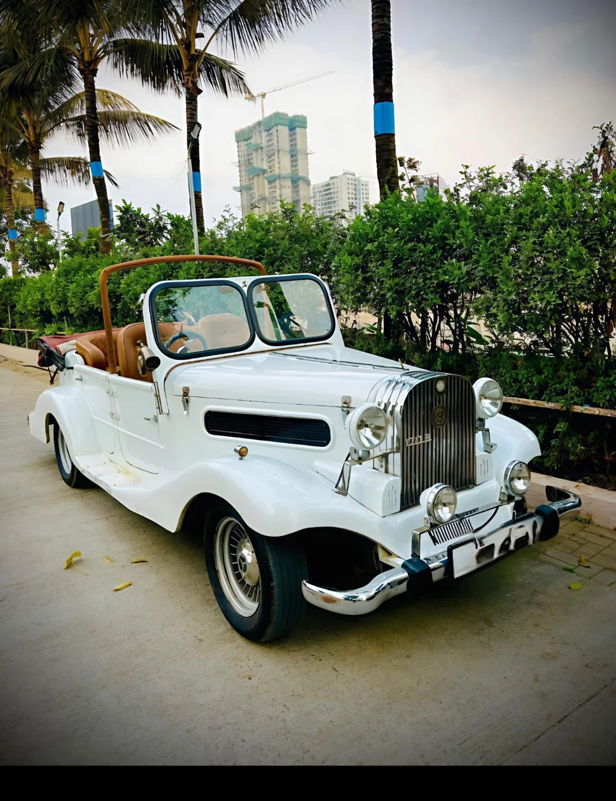 Regalia wedding cars